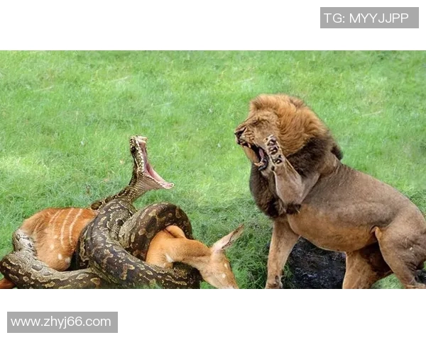 史蒂夫与亚索的巅峰对决谁能在战斗中笑到最后